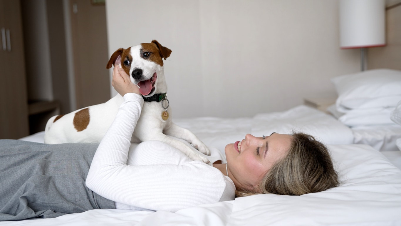 Family and pet-friendly B&Bs