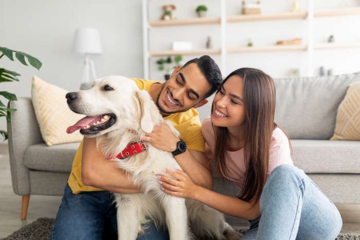 B&Bs that allow pets: A Romantic Getaway for Pet Lovers