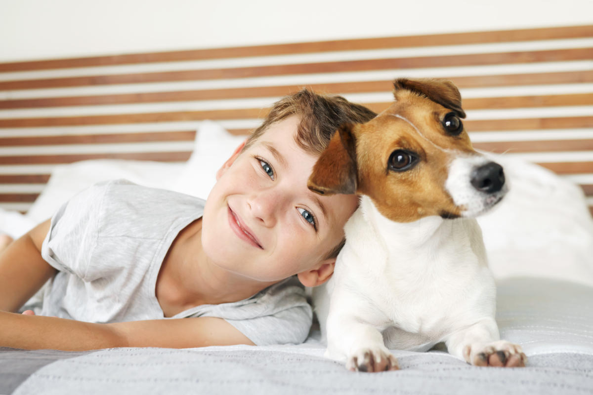 B&Bs with Fenced Yards: A Haven for Pet Lovers