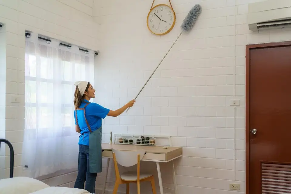 Airbnb Bed Bug Prevention for a Stress-Free Stay